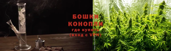 крисы Богородск