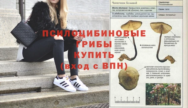 крисы Богородск