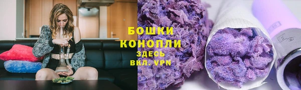 эйфоретик Богданович