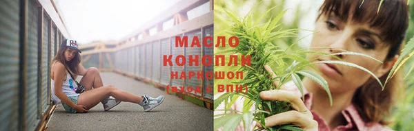 крисы Богородск