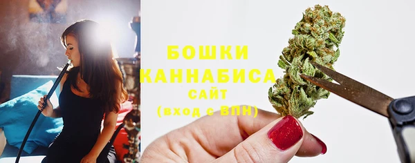 эйфоретик Богданович