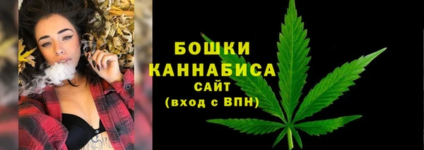 эйфоретик Богданович