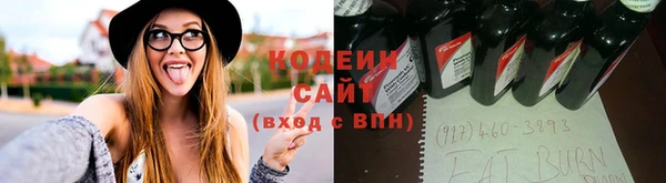 крисы Богородск