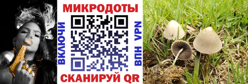 Псилоцибиновые грибы MAGIC MUSHROOMS  Октябрьский 